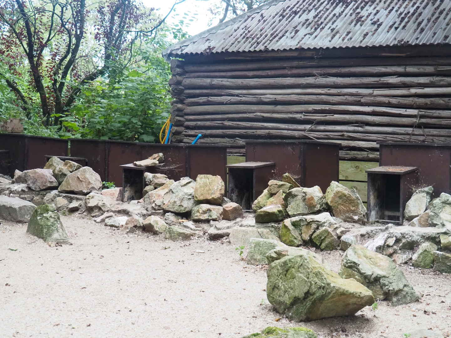 Humboldt penguin nesting boxes, 2022-08-28