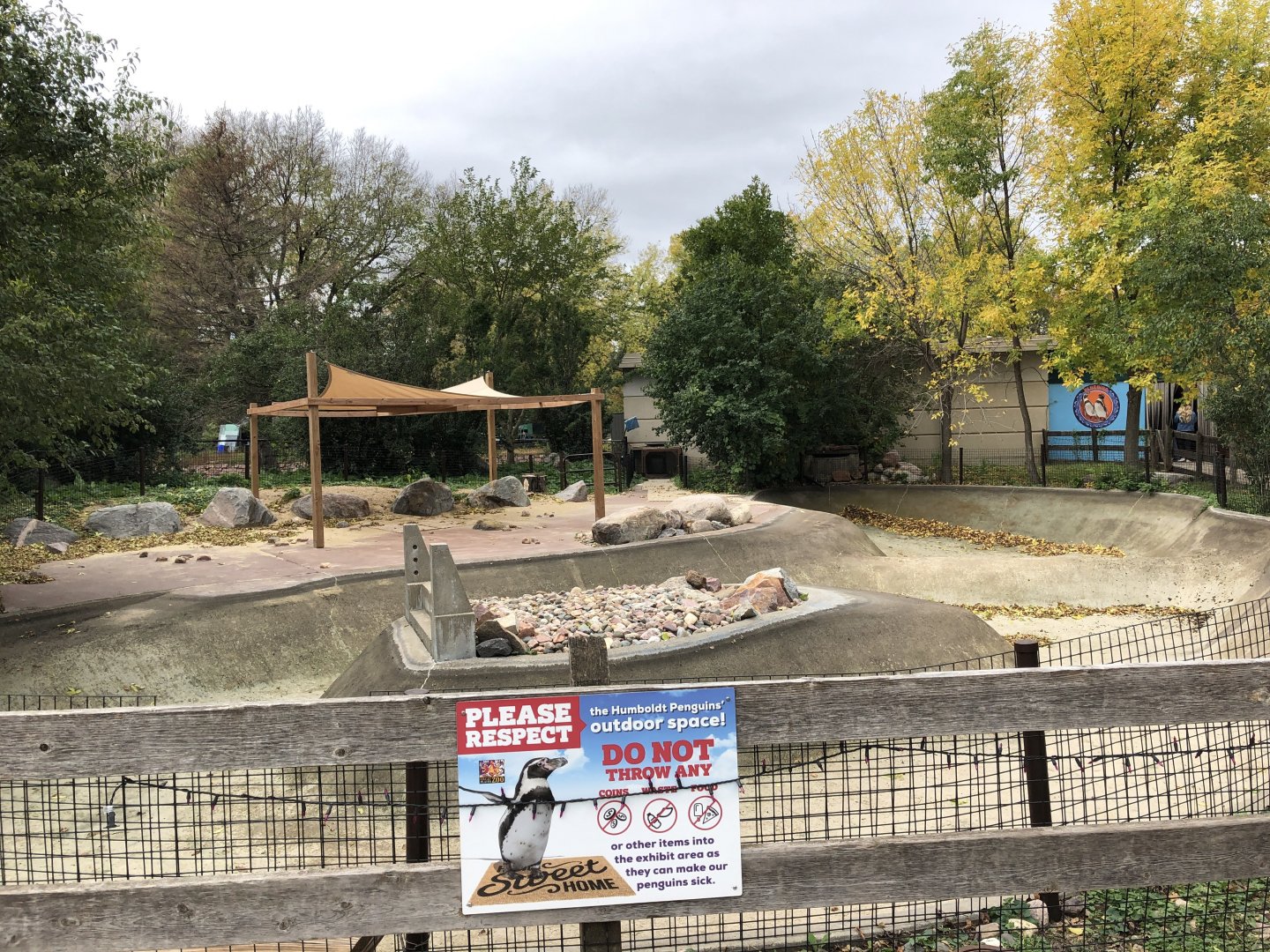 Humboldt Penguin outdoor exhibit