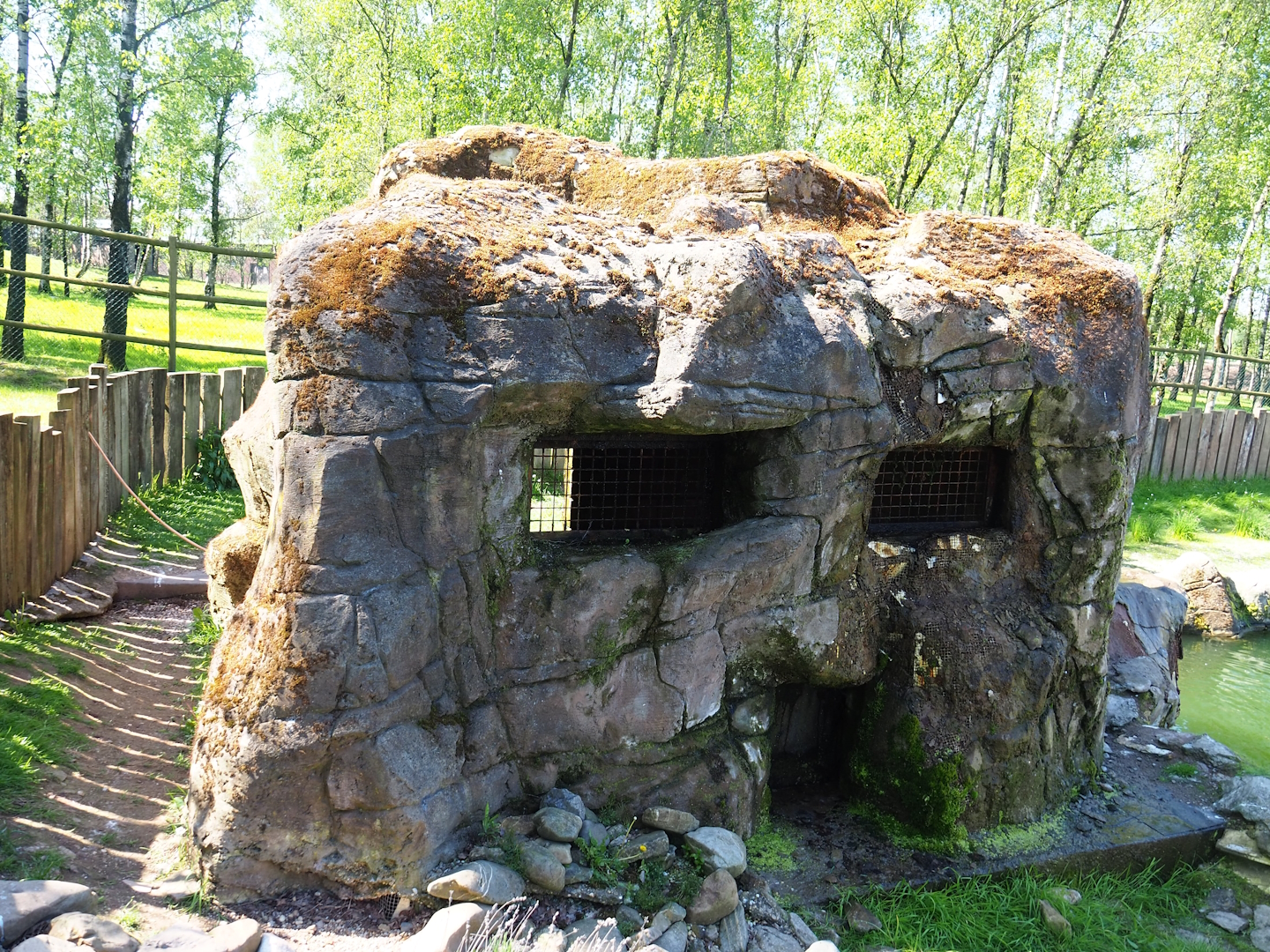 Humboldt penguin shelter, 2023-05-19