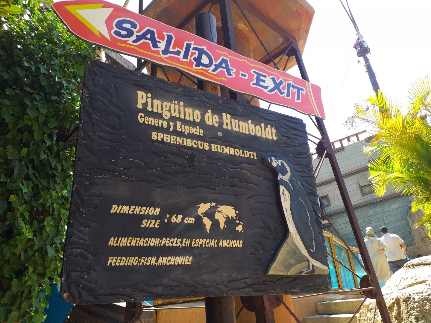 Humboldt penguin sign -MundoMar Benidorm (2021)