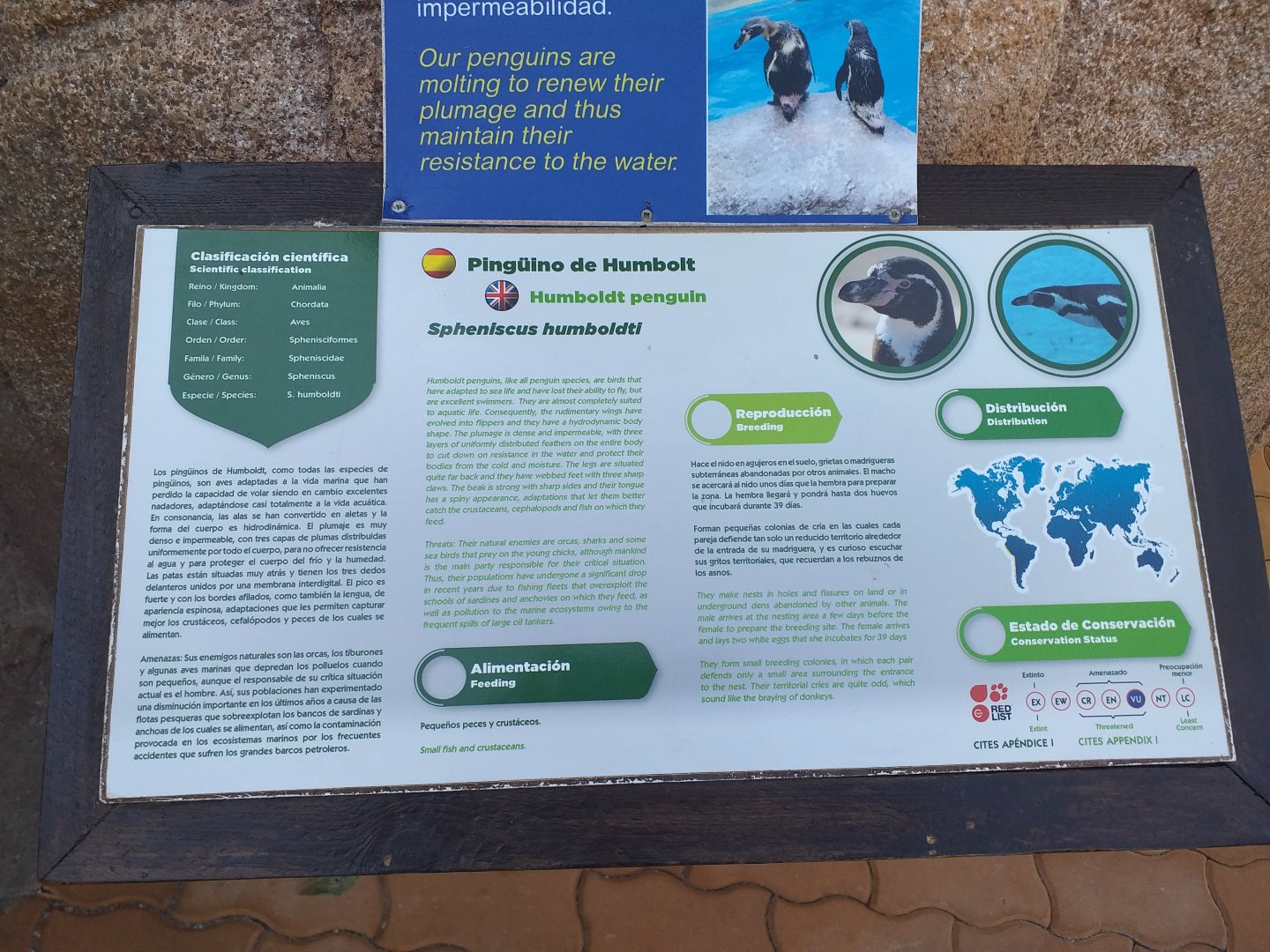 Humboldt penguin sign -MundoMar Benidorm (2021)