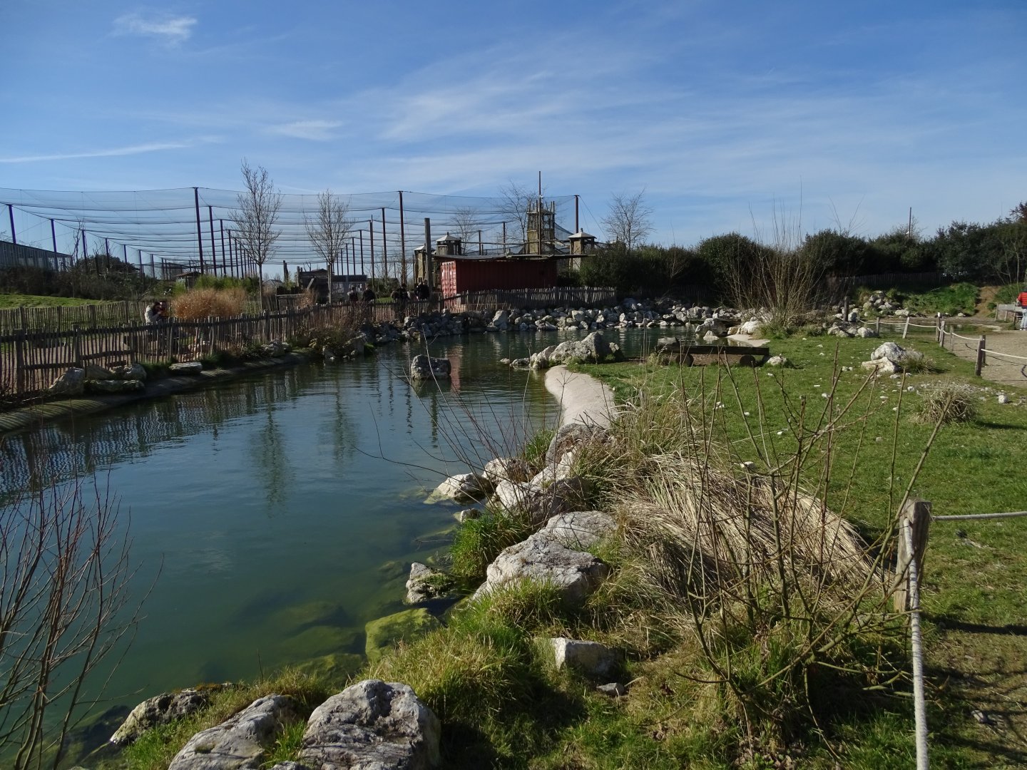 Humboldt penguin (Spheniscus humboldti) exhibit