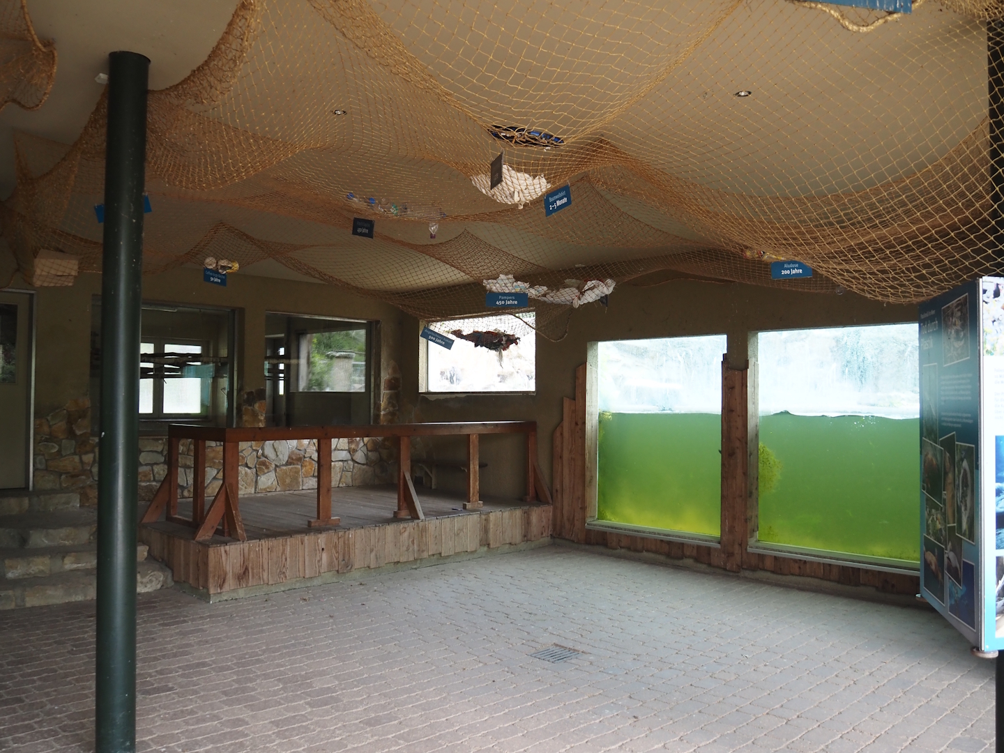 Humboldt penguin underwater and penguin/Inca tern indoor holding viewing windows, and plastic pollution education, 2025-05-22