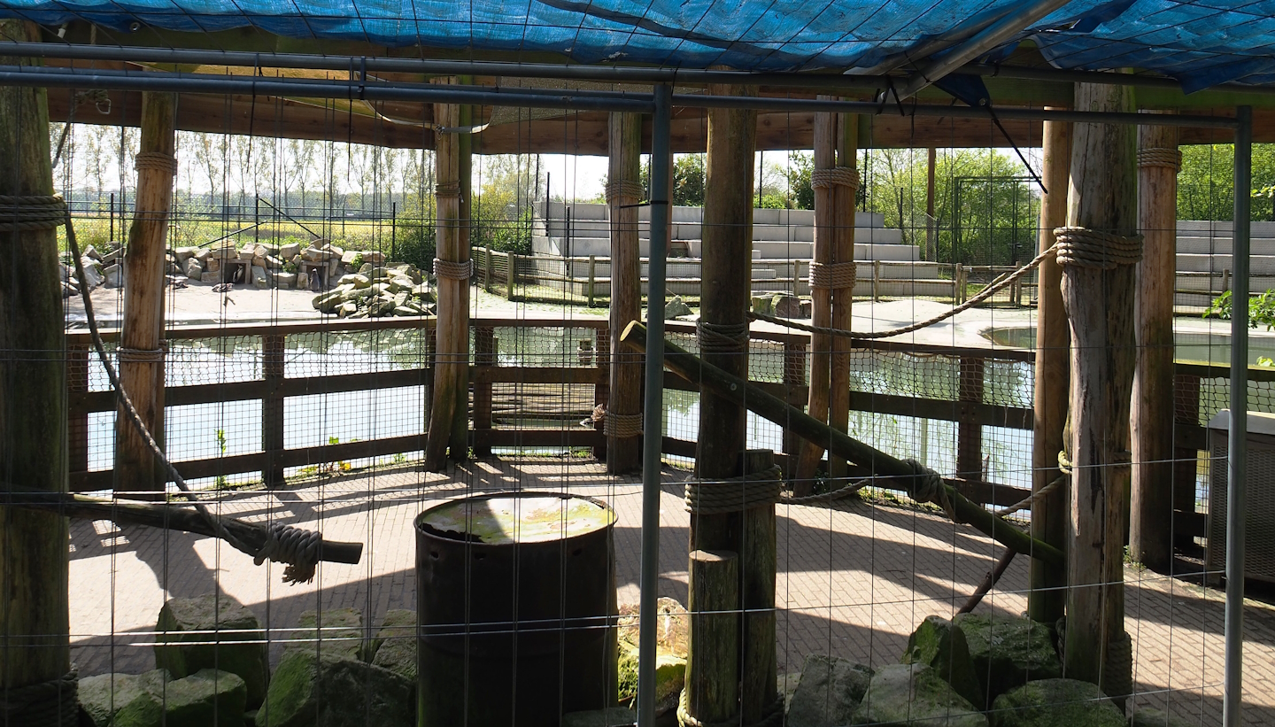 Humboldt penguin viewing area, 2023-04-30