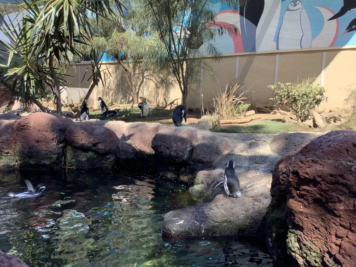 Humboldt Penguins 10/9/21