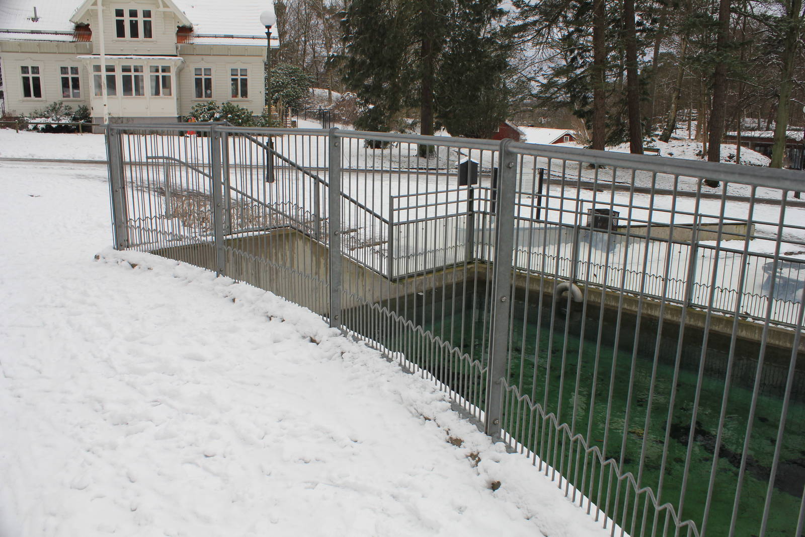 Humboldt penguins exhibit