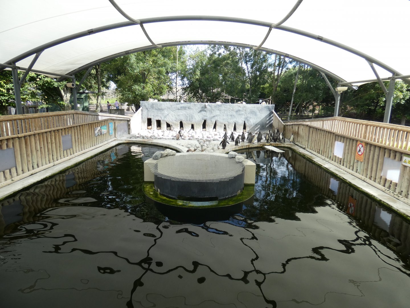 Humboldt's Penguin enclosure