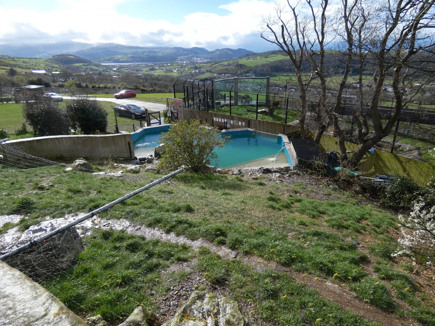 Humboldt's penguin enclosure