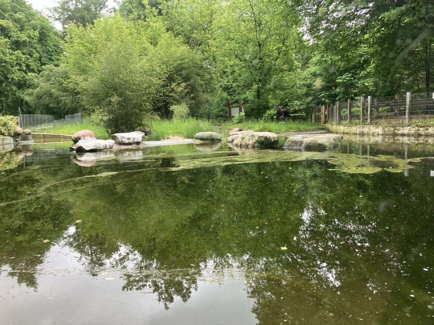 Humboldt’s penguin enclosure