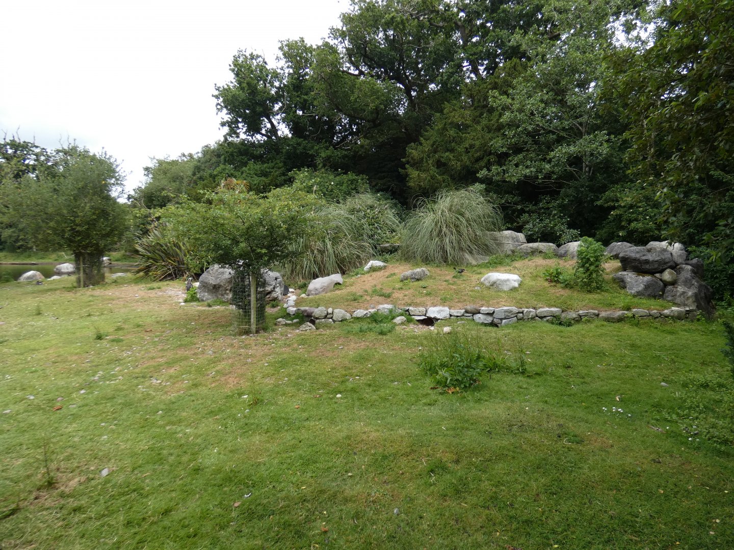 Humboldt's penguin land area