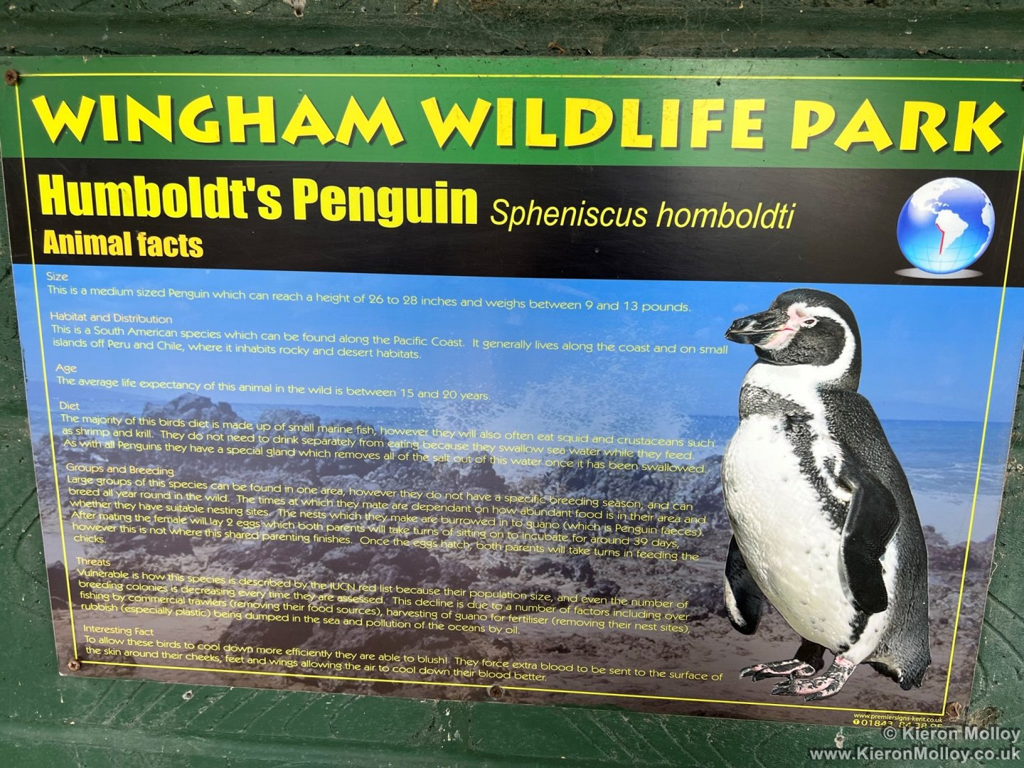 Humboldt's Penguin Sign