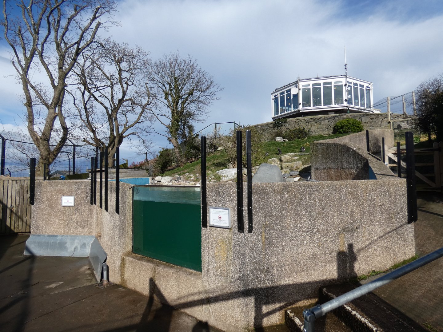 Humboldt's penguin underwater viewing area