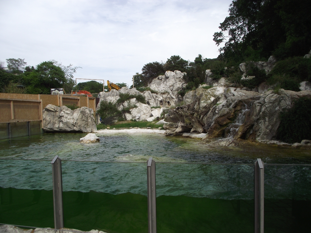 Humbolts Penguin Enclosure