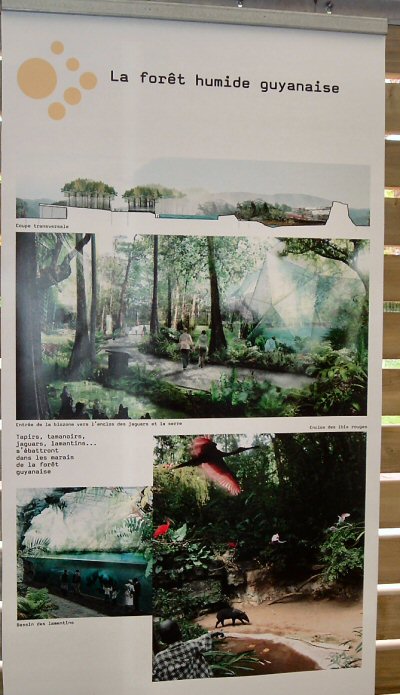 Humid forest plan Zoo de Vincennes Paris