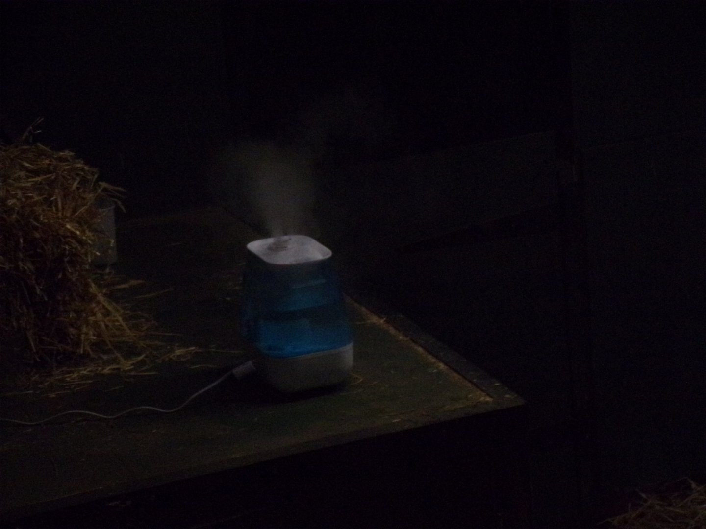 Humidifier in giant anteater indoors 18.7.25