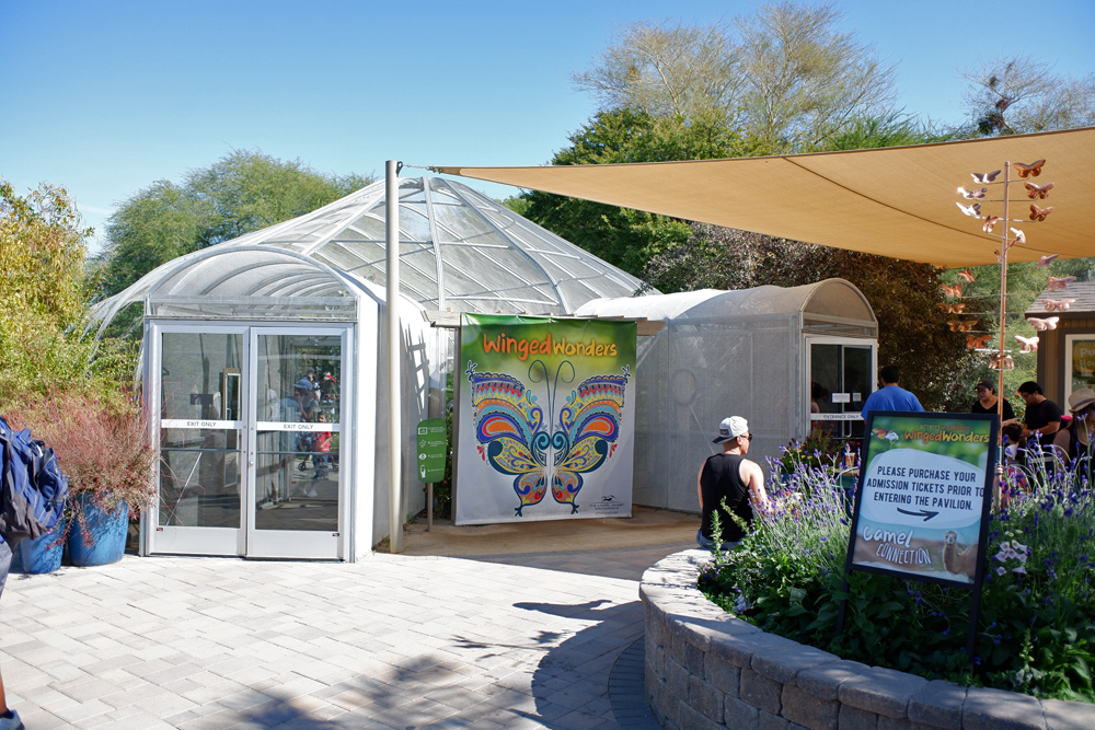hummingbird and butterfly pavillion