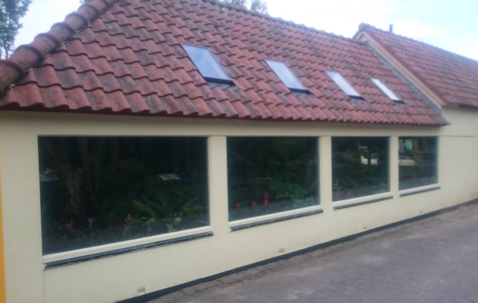 Hummingbird aviaries at Nuboso