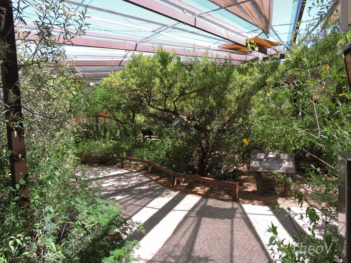 Hummingbird aviary [2015]