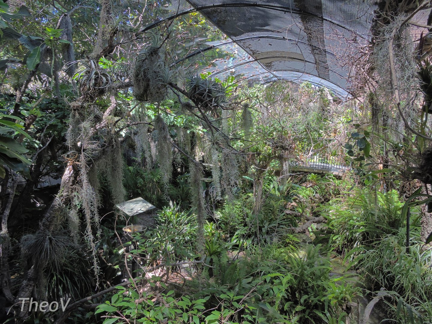 Hummingbird aviary - Discovery Outpost [2015]