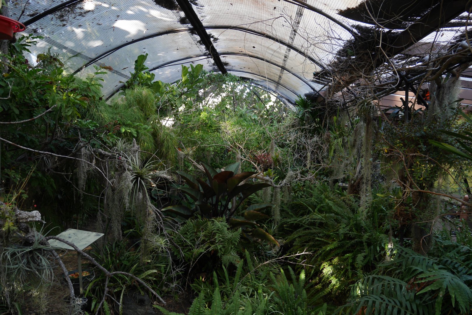 Hummingbird Aviary - My First US Zoo Trip