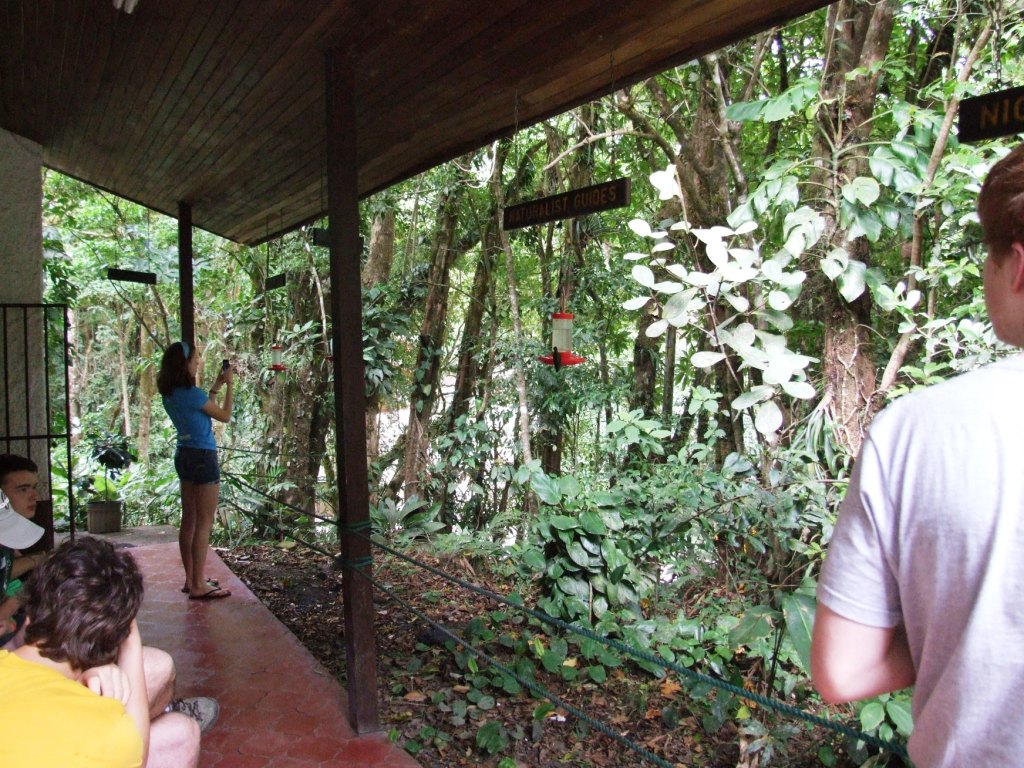 Hummingbird Gallery, Monteverde, 20/04/14