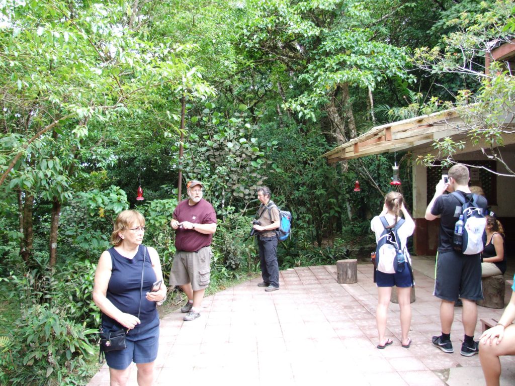 Hummingbird Gallery, Monteverde, 20/04/14