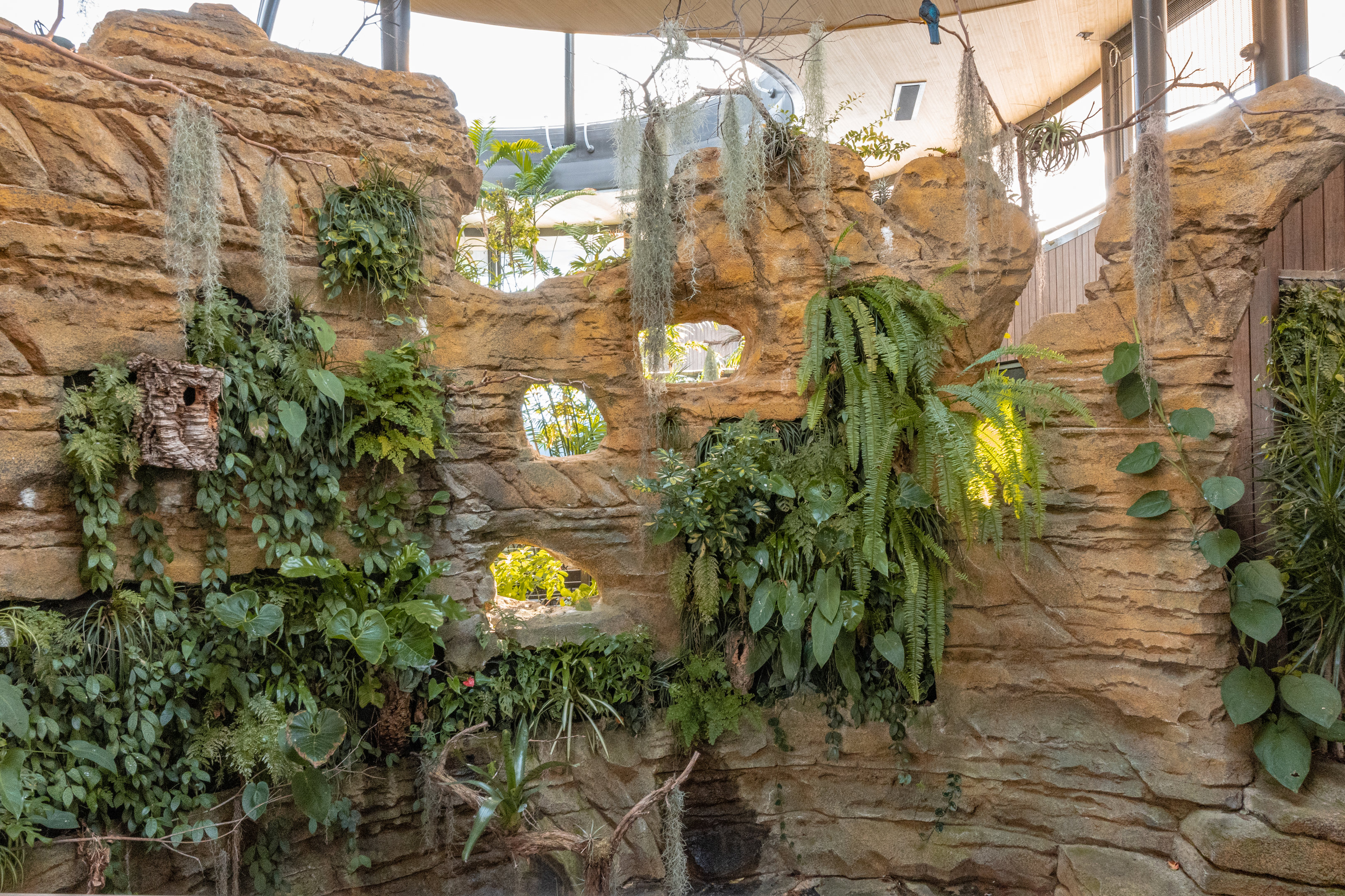 Hummingbird Habitat: Center of exhibit
