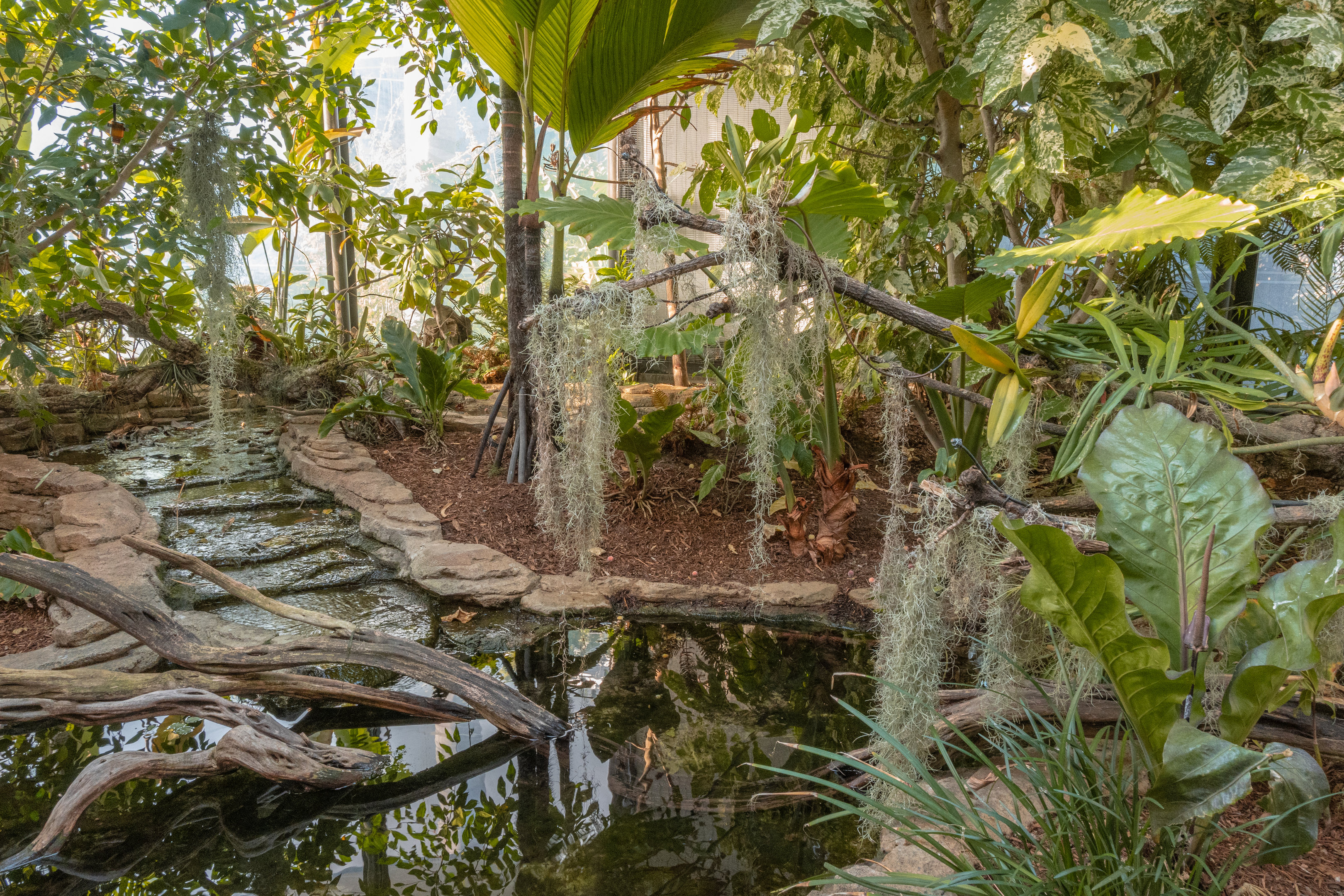 Hummingbird Habitat: Exit section