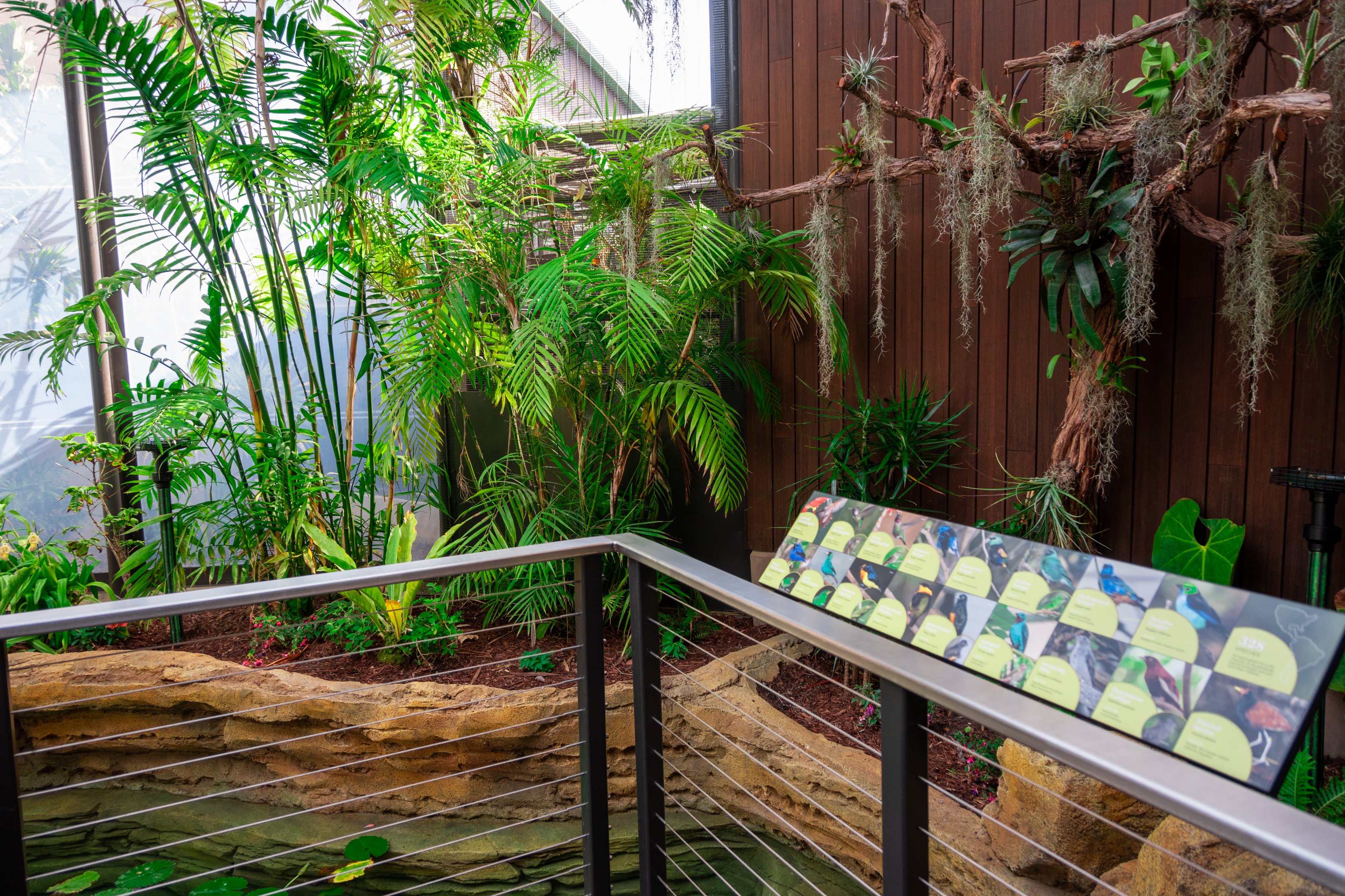 Hummingbird Habitat first exhibit