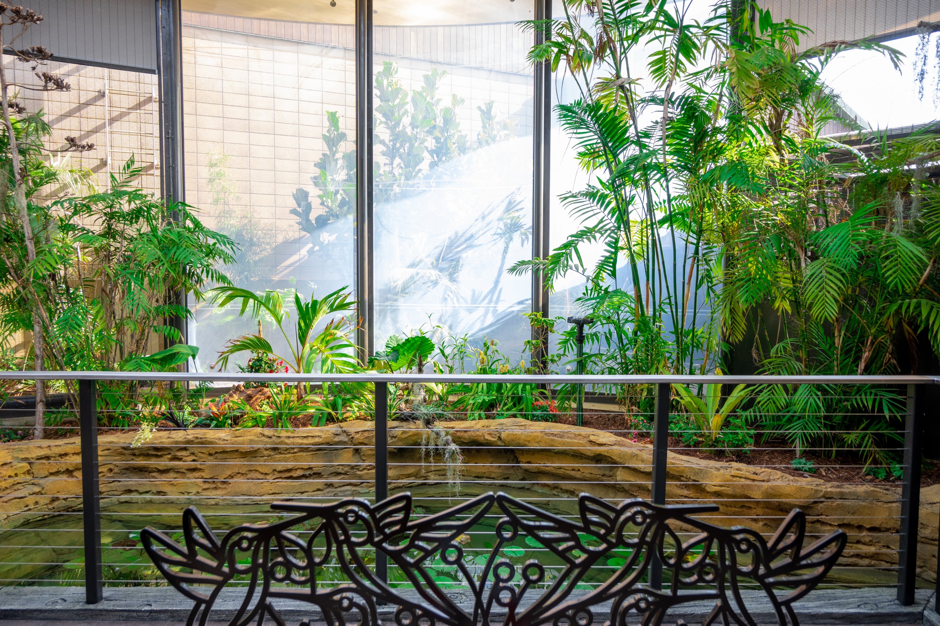 Hummingbird Habitat first exhibit