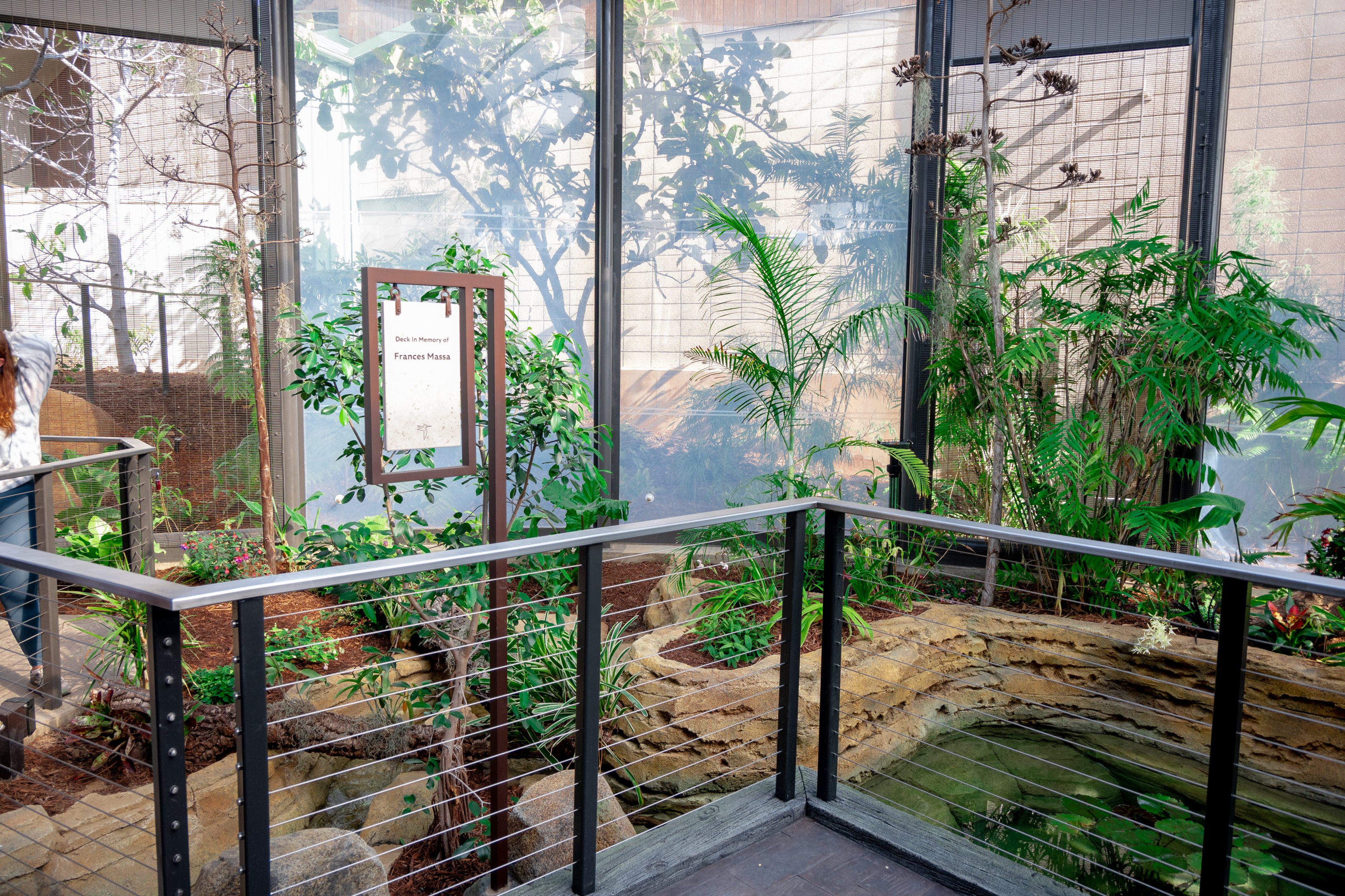 Hummingbird Habitat first exhibit