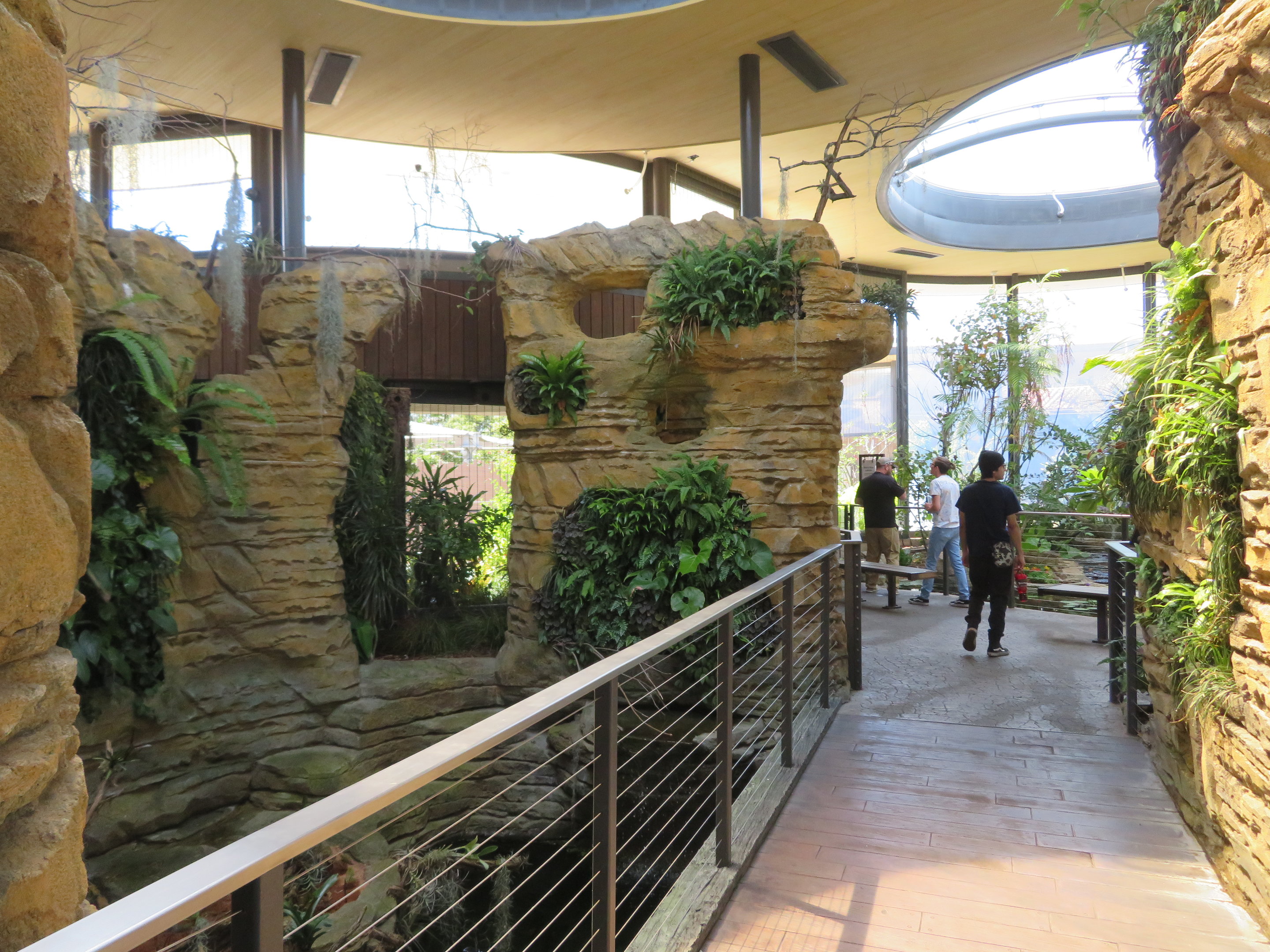 Hummingbird Habitat (Interior)