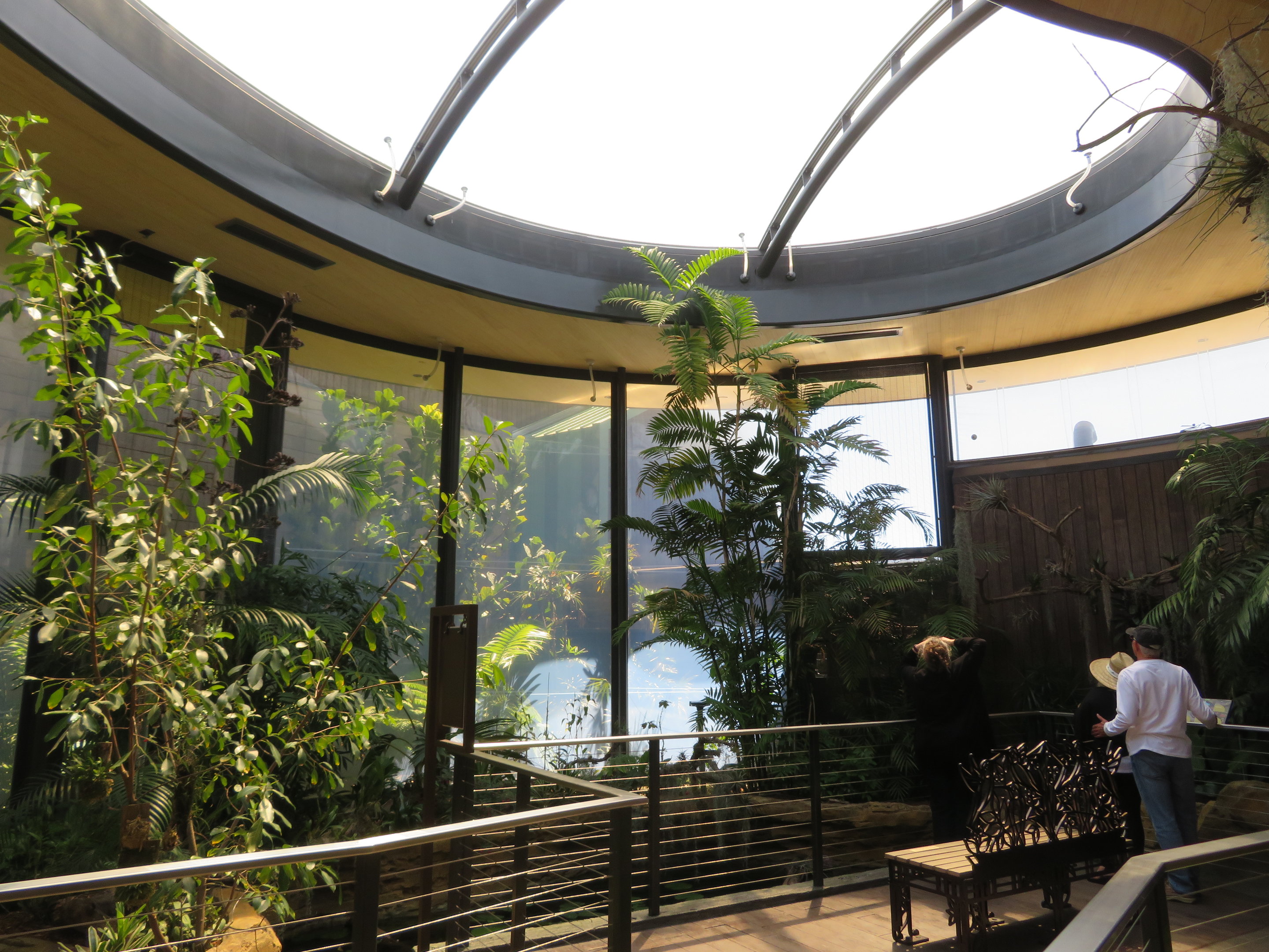 Hummingbird Habitat (Interior)