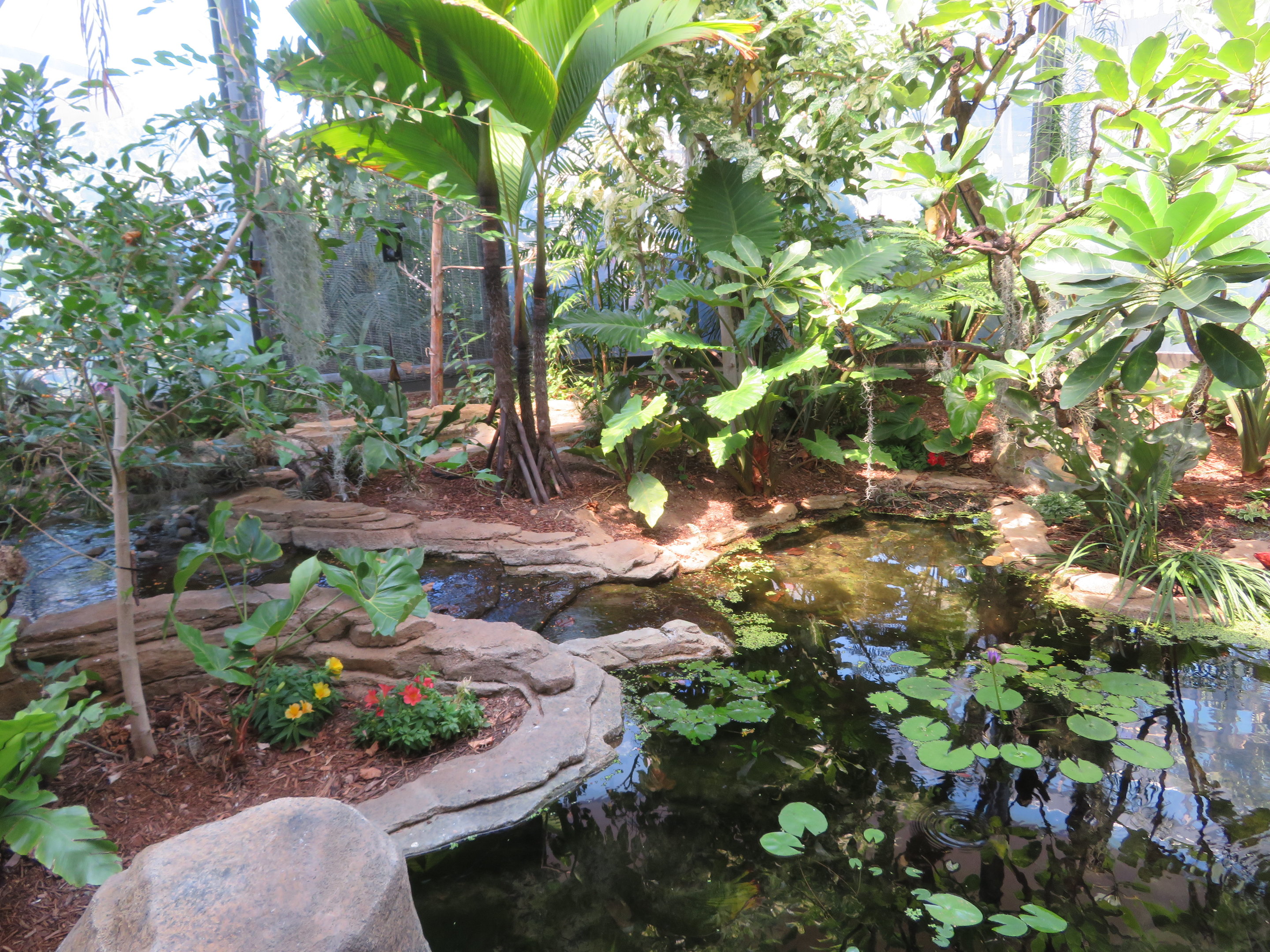 Hummingbird Habitat (Interior)