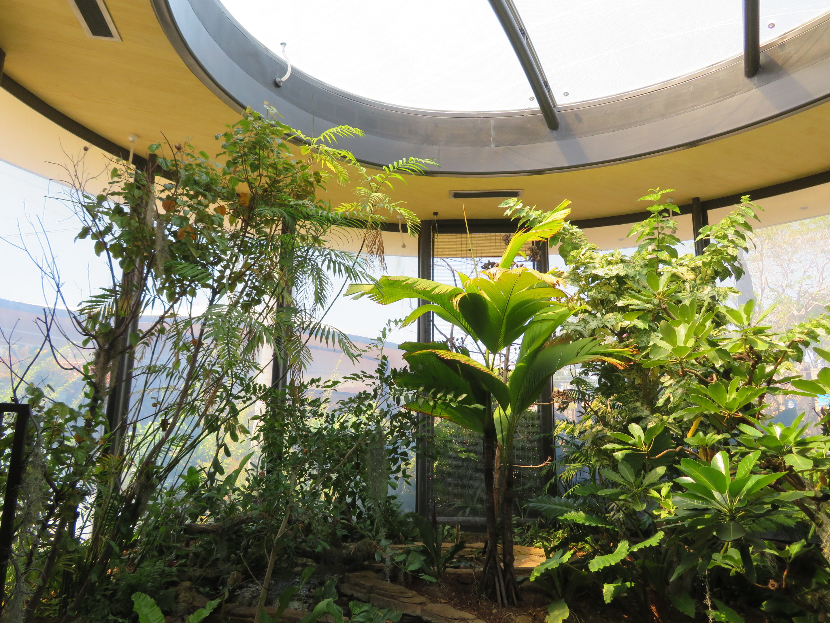 Hummingbird Habitat (Interior)