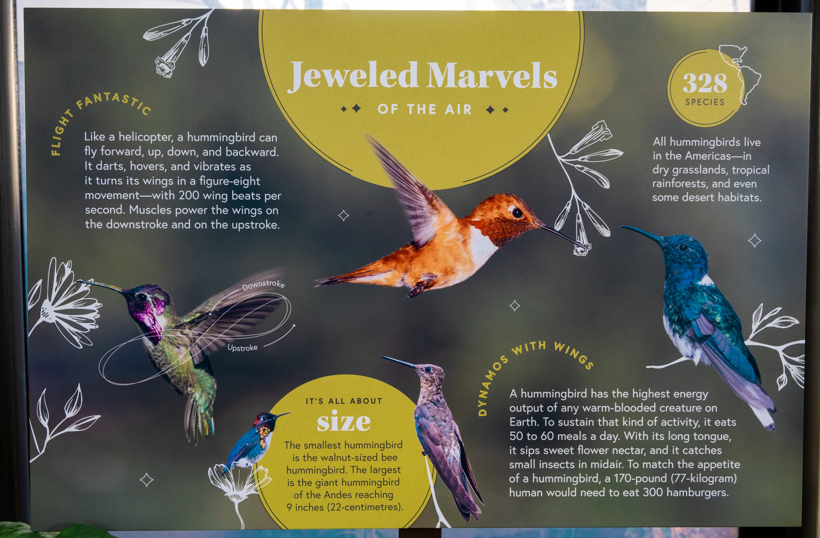 Hummingbird Habitat Jeweled Marvels signage