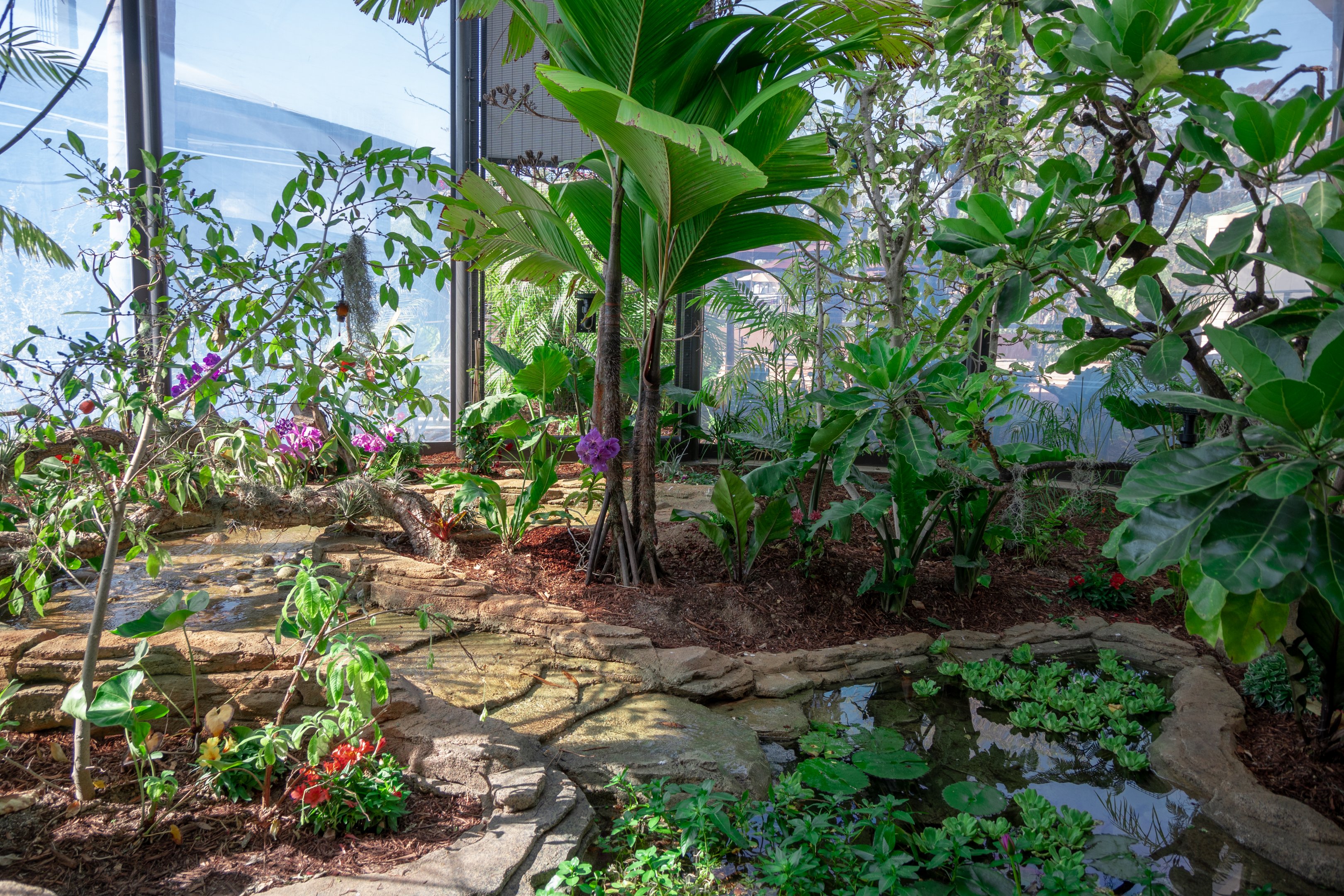 Hummingbird Habitat last exhibit