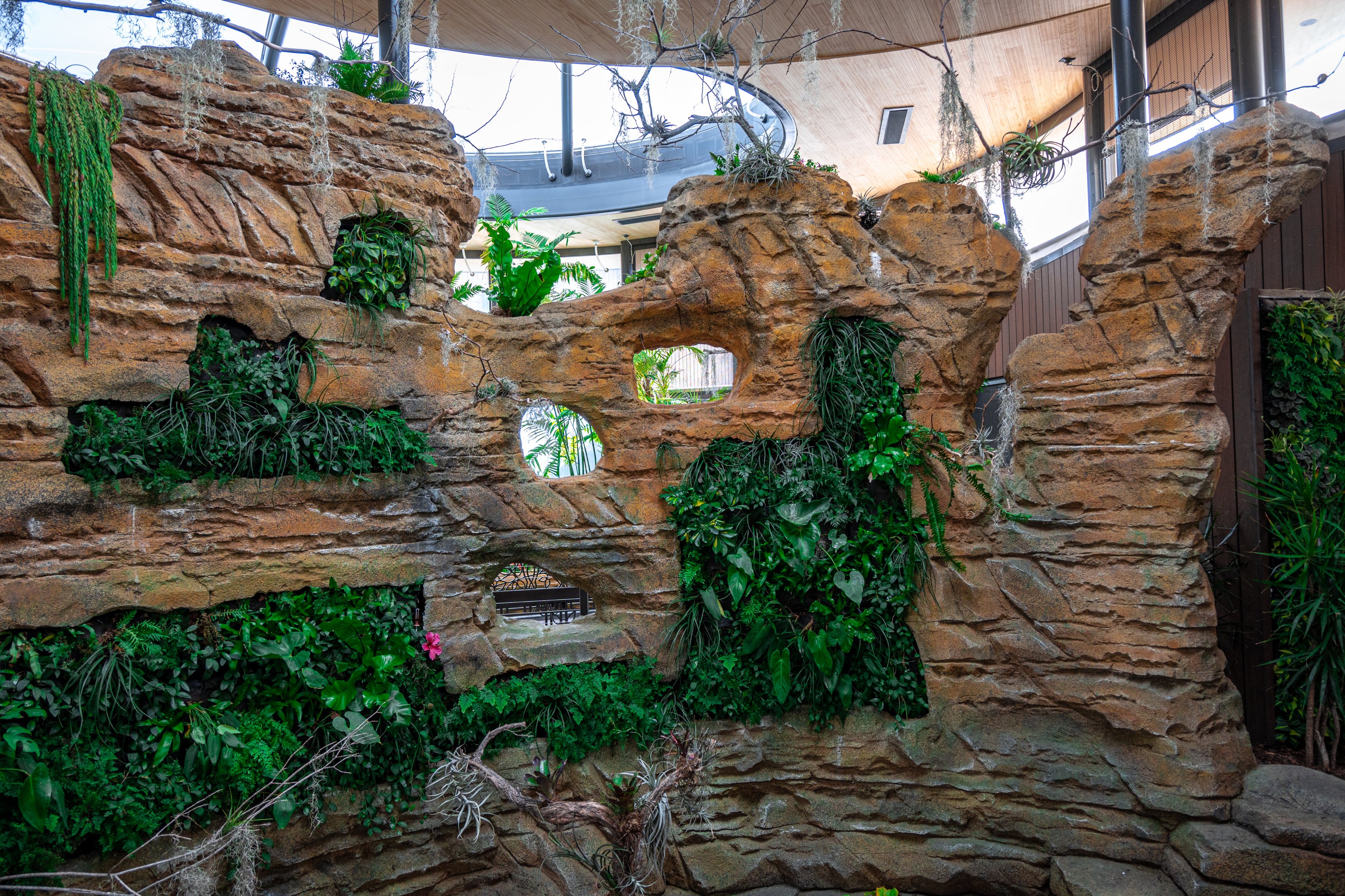 Hummingbird Habitat middle exhibit