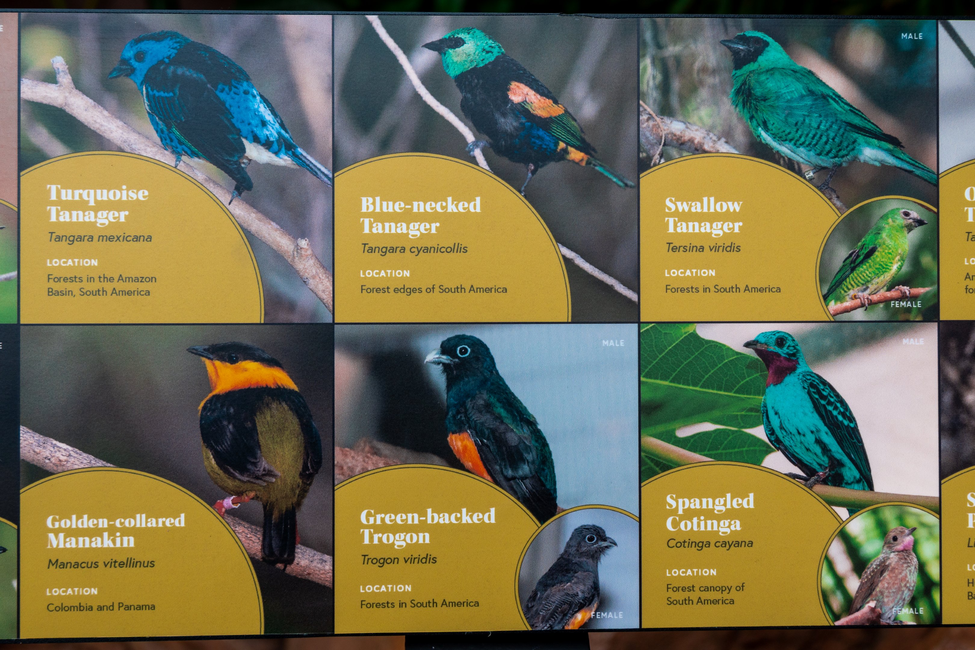 Hummingbird Habitat Species Signage