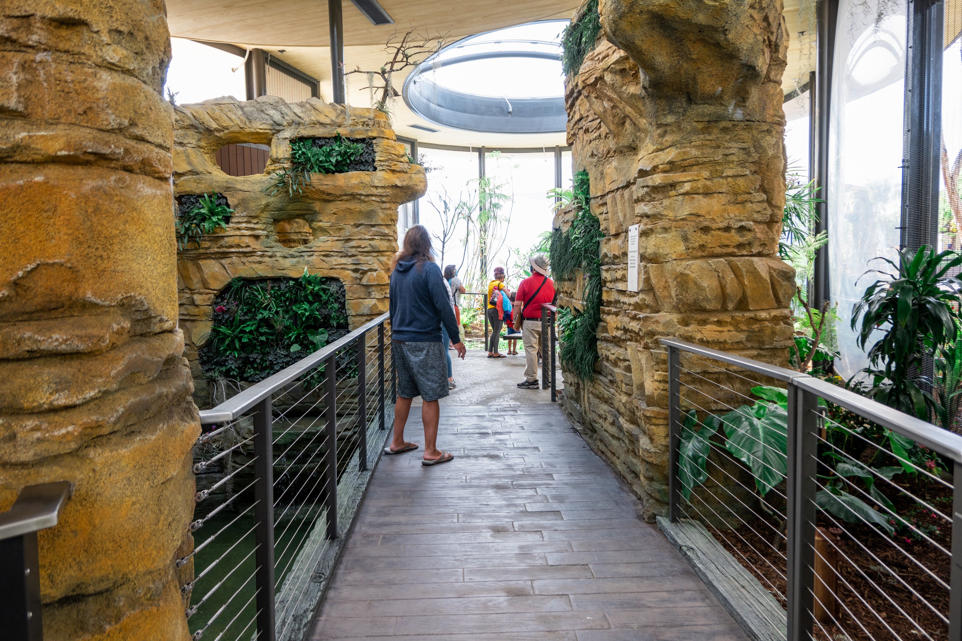 Hummingbird Habitat walkway