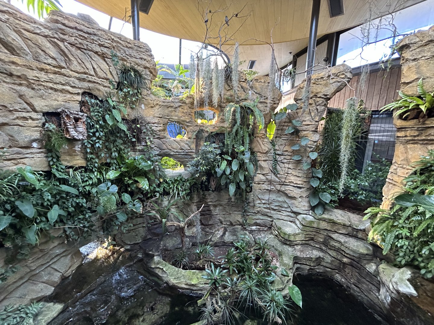 Hummingbird Habitat