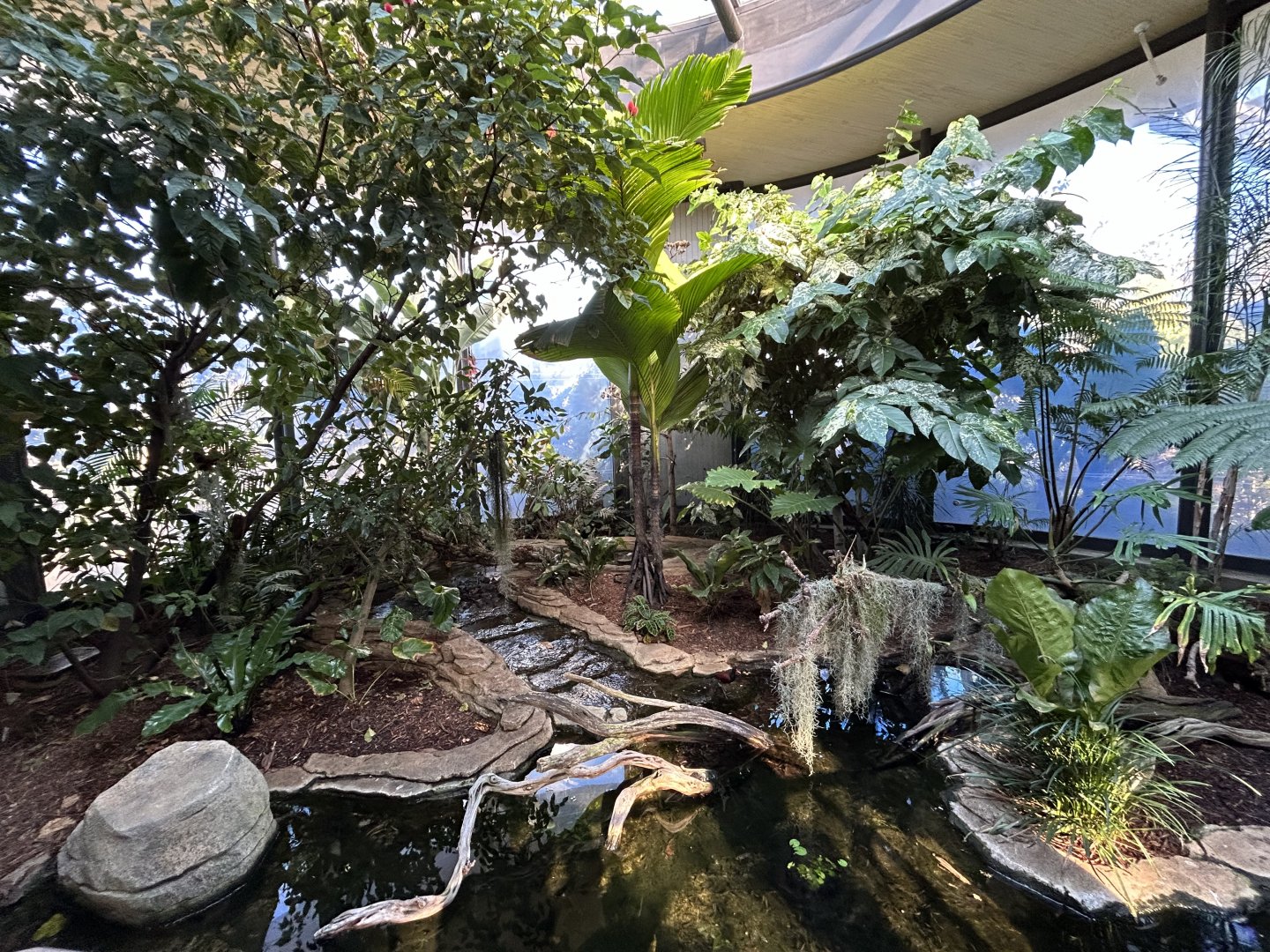 Hummingbird Habitat