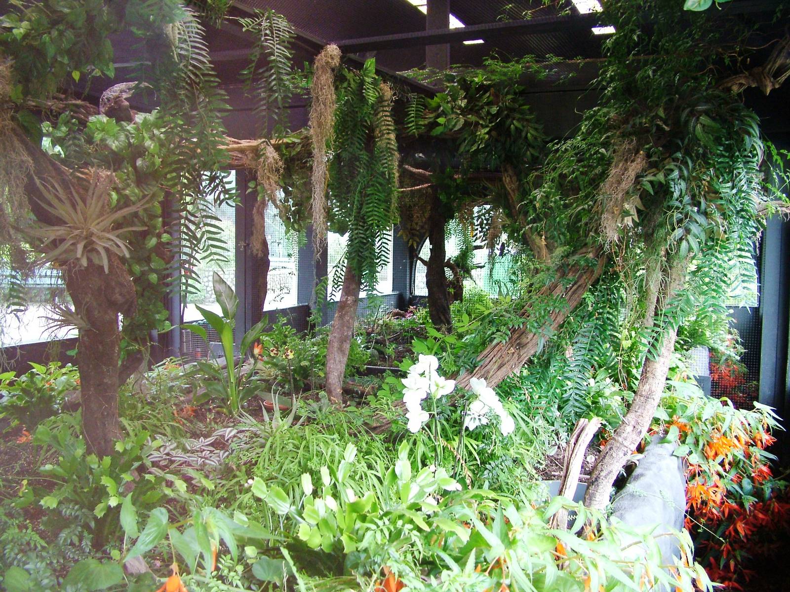 Hummingbird House at Avifauna, 04/06/12