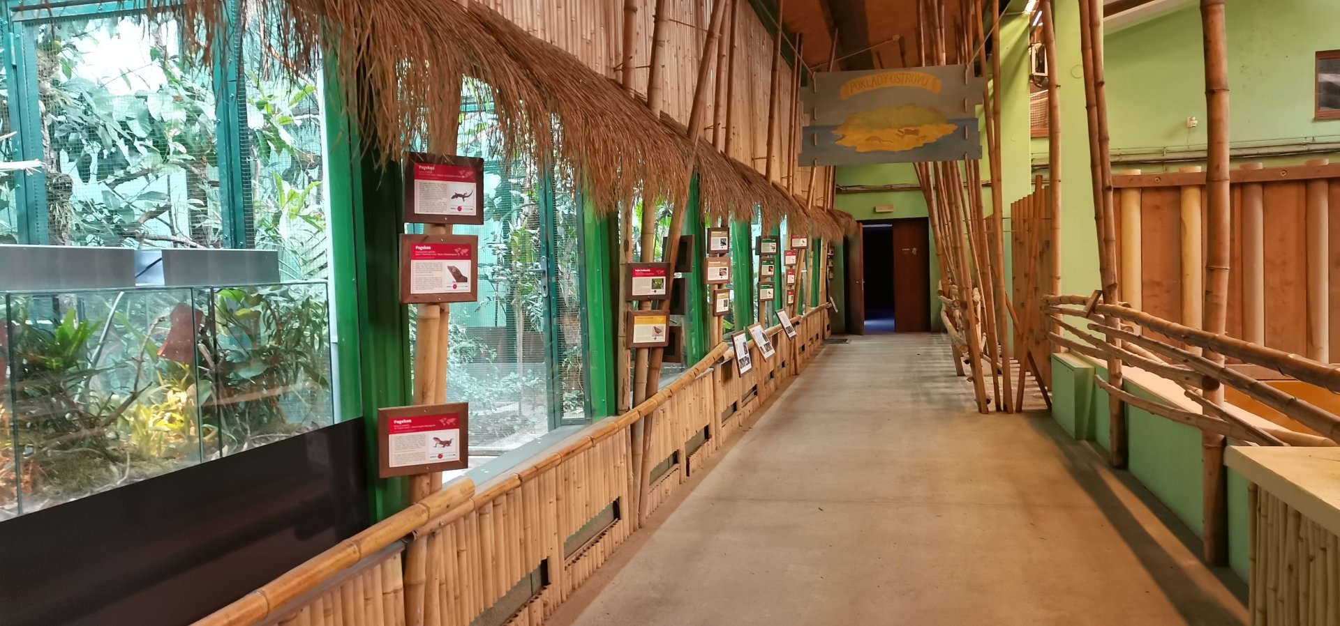 Hummingbird / King Bird of Paradise Aviaries at Rhino House