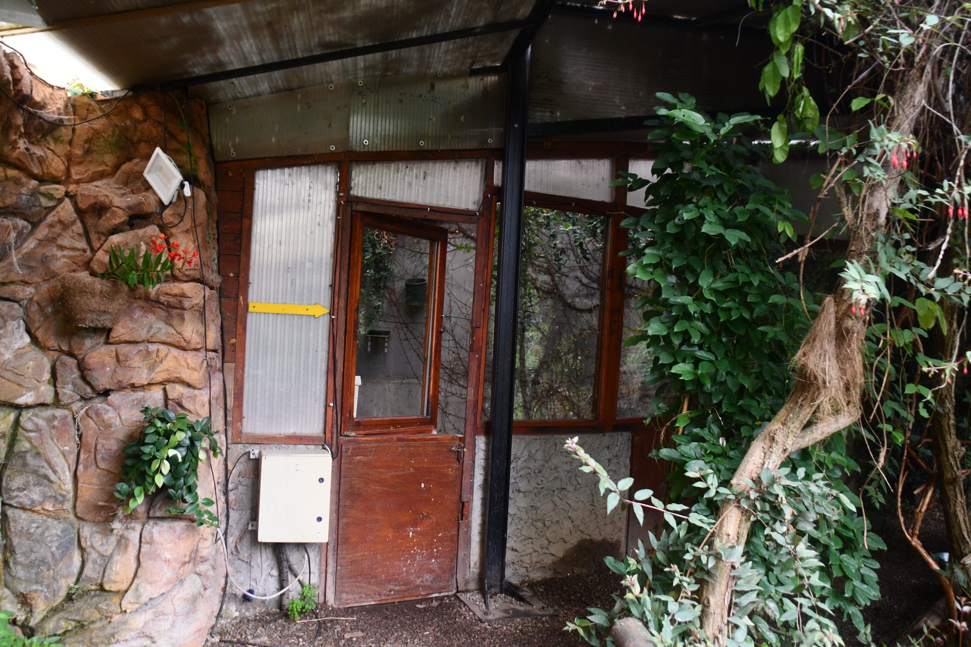 Hummingbird separation room