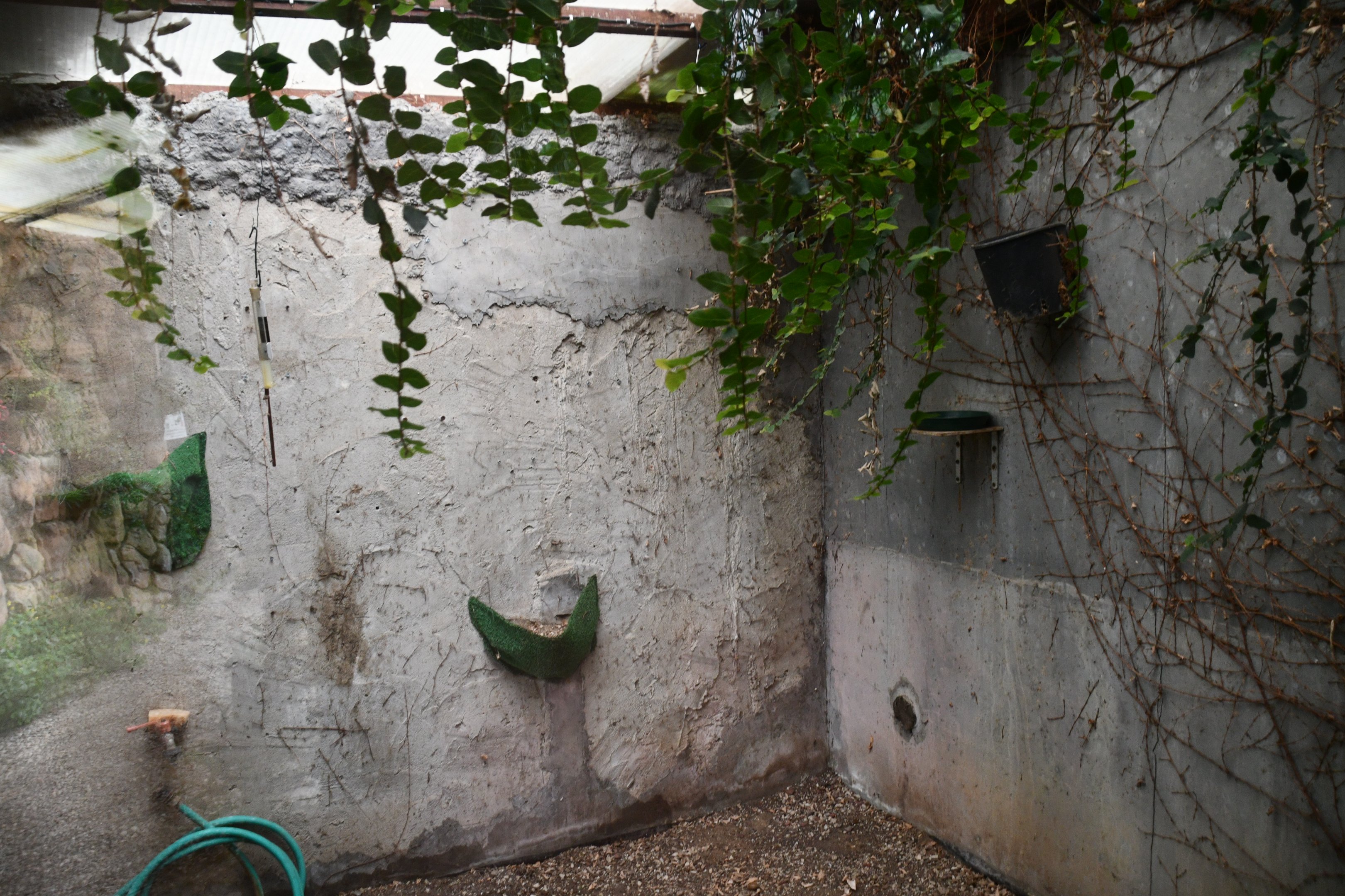 Hummingbird separation room