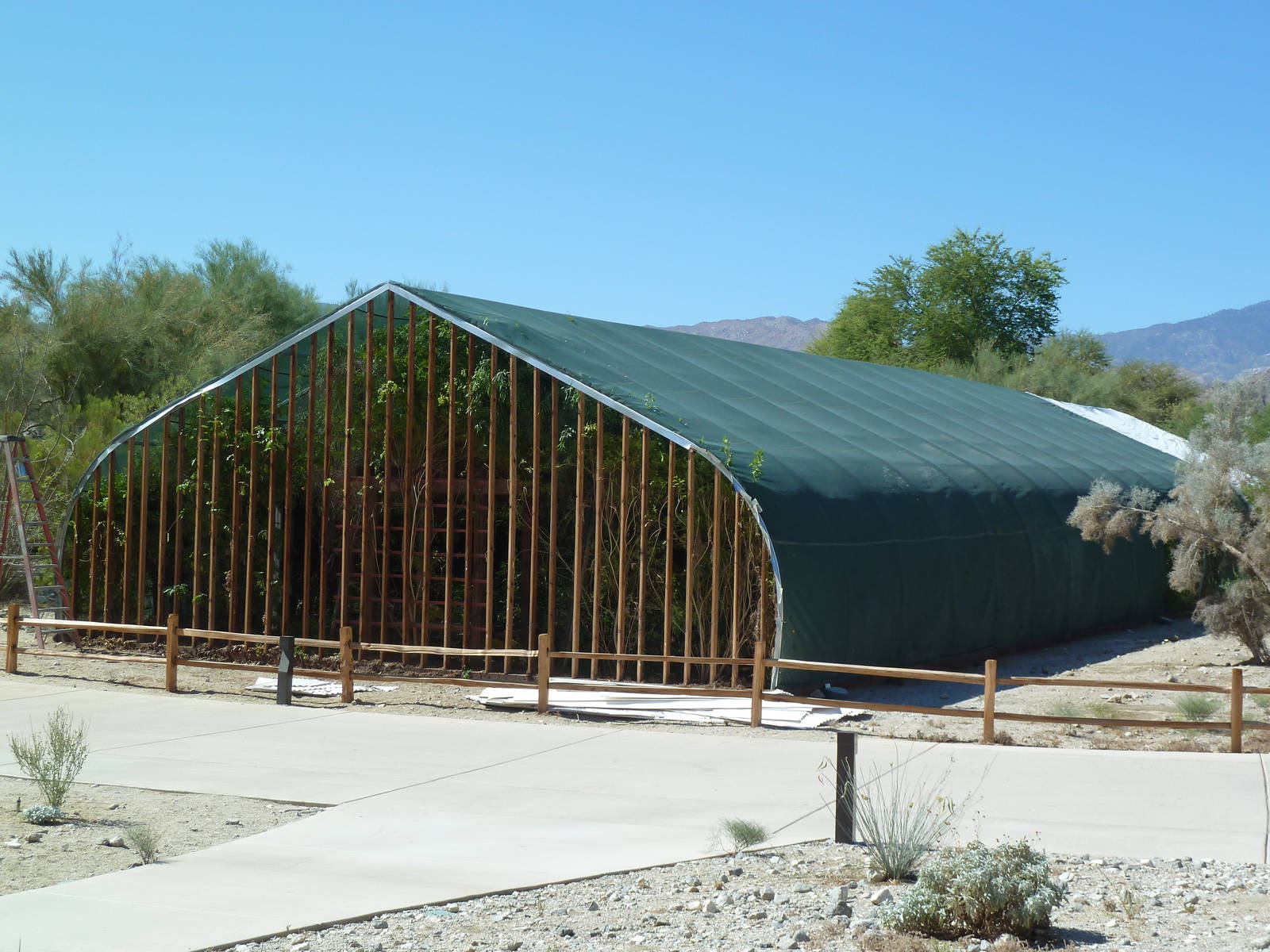 Hummingbirds + Butterflies