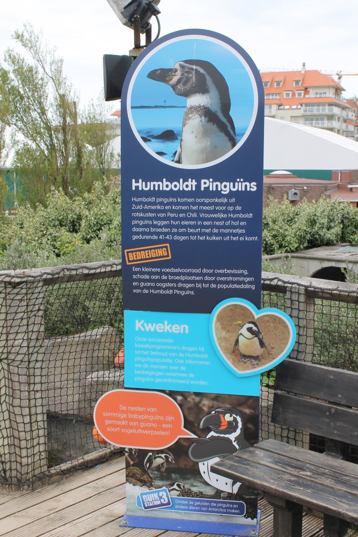 Humoldt penguin-sign