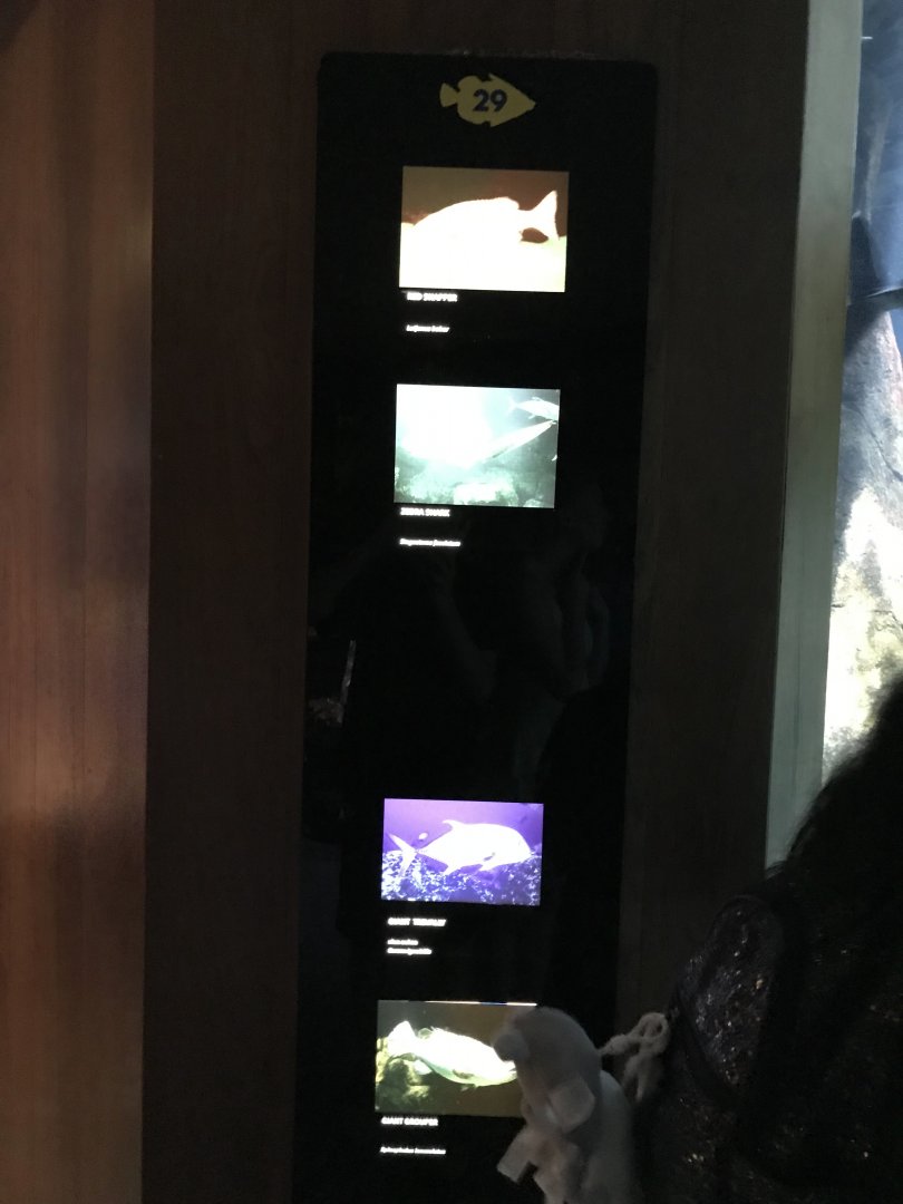 Hunters On The Reef signage (1)