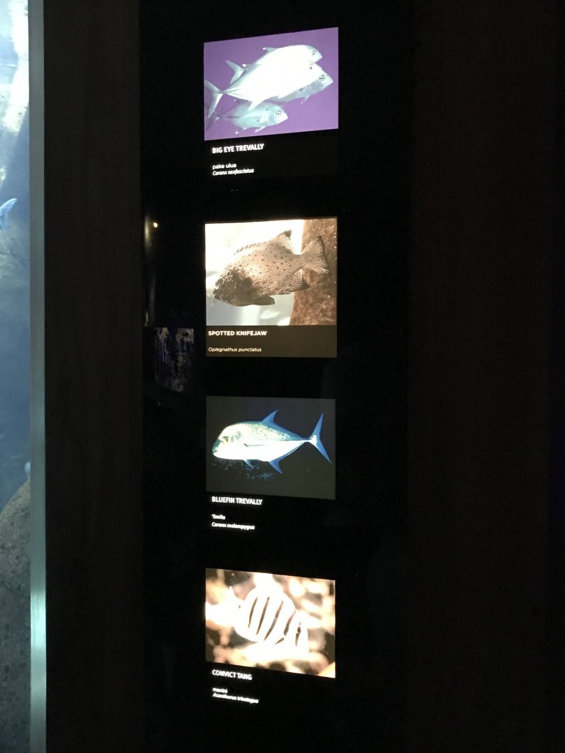 Hunters On The Reef signage (2)